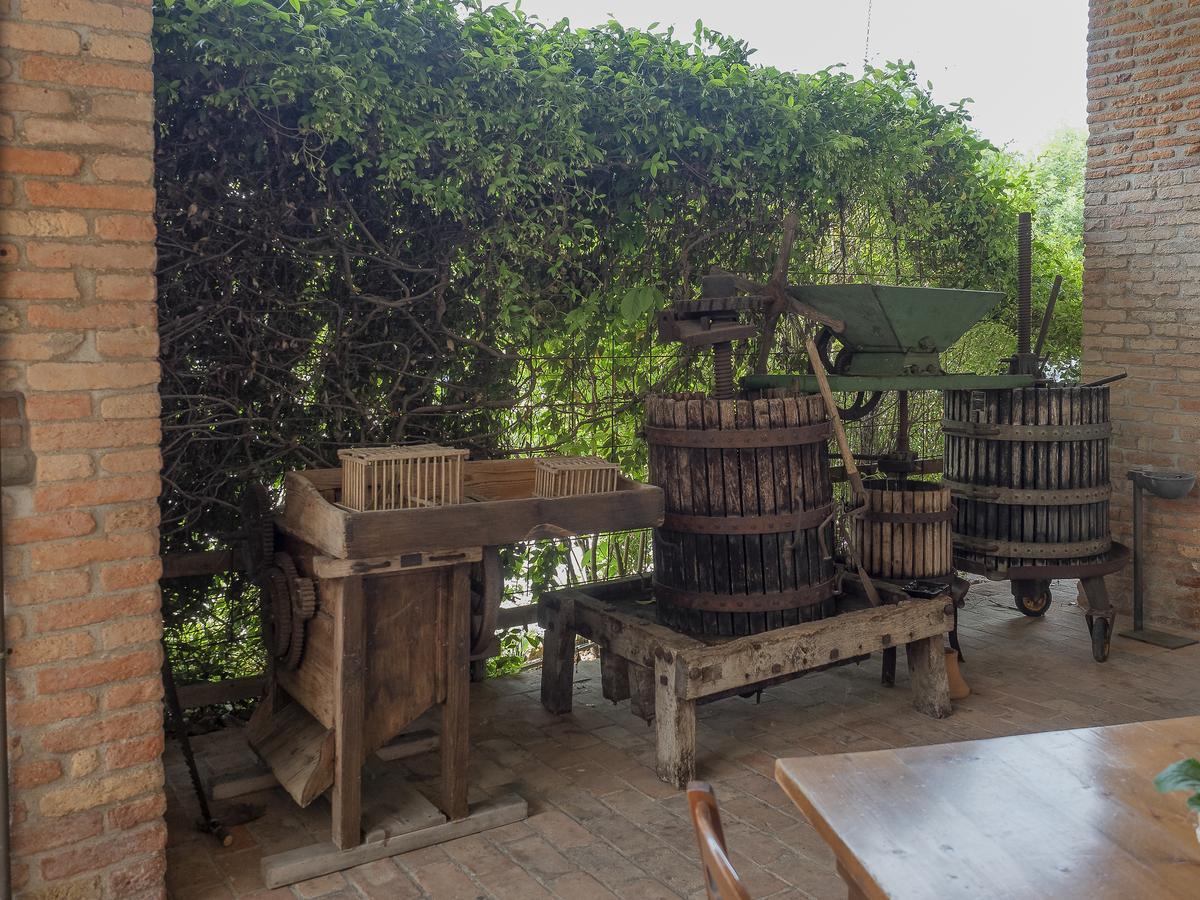 Agriturismo Il Palazzone Montegalda Exteriér fotografie